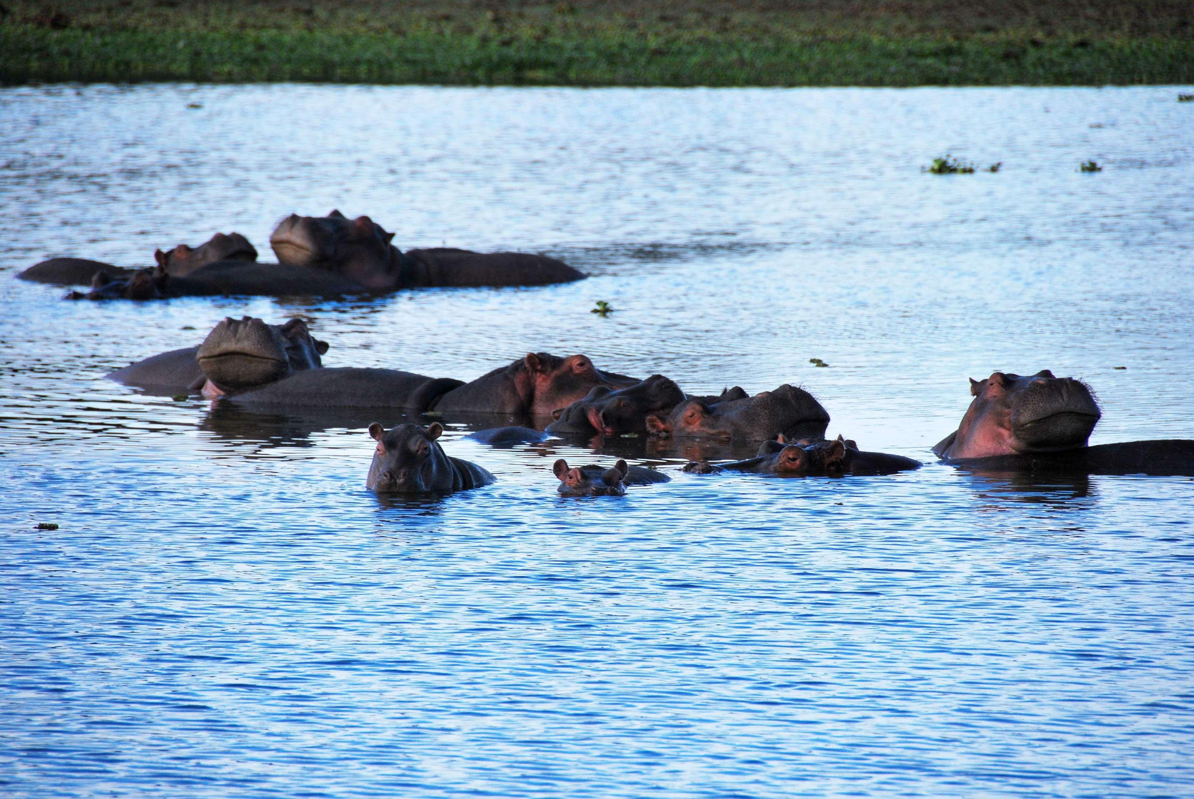 Muthu Lake Naivasha Country Club, Naivasha Karagite Luaran gambar